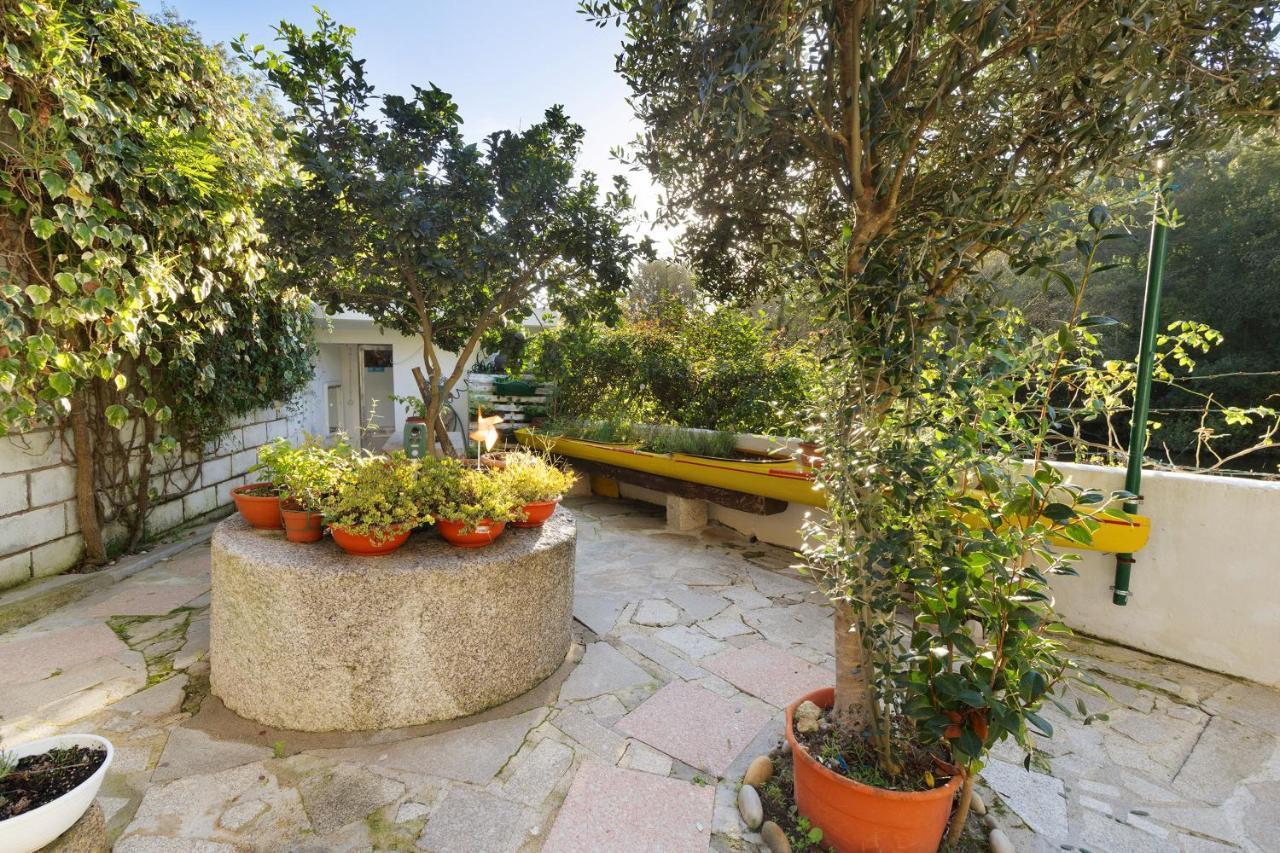 Casa Azenha Branca Villa Esposende Eksteriør billede